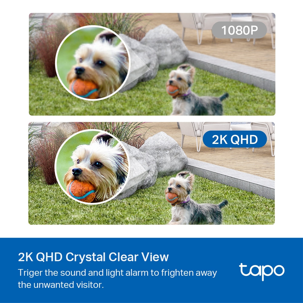 TP-Link Tapo C420