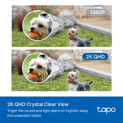 TP-Link Tapo C420